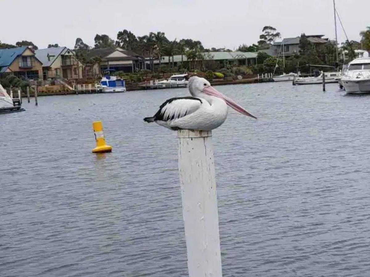 The View - Captains Cove Waterfront Resort Paynesville Exterior foto